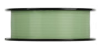 Pistachio Green